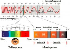 探讨热成像技术在评估种子质量参数方面的潜在