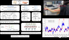 深圳先进院在无创血糖监测研究方面取得进展