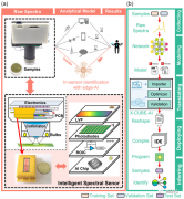 近红外InGaAs智能光谱传感器设计实现
