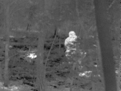 红外热成像在警用执法领域的创新应用