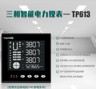 TP613系列三相智能电力仪表 实现以绿色能源管理