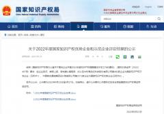 普源精电（RIGOL）入选2022年度国家知识产权优势