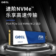 金邦 P4P 2TB NVMe固态硬盘京东限时特价到手659元