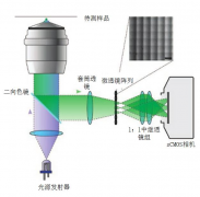 傅里叶光场显微成像技术—2D显微镜实现3D成像