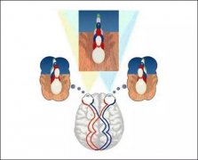 一文读懂双眼立体显示技术 四种主流立体显示技