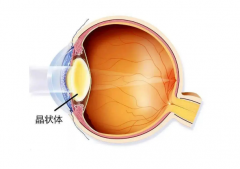 揭秘液态透镜的类型和工作原理