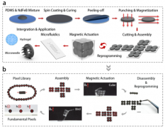 集成微流控功能模块的可重编程磁控柔性驱动器