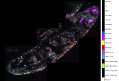 Lumencor固态光源在生命科学中的应用