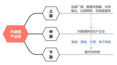 医用内窥镜的主要分类有哪些