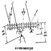 离子探针显微分析的工作原理和构成