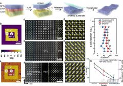 浅析光学二次谐波的磁电耦合演变