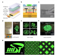 全球首个与驱动背板结合的钙钛矿显示屏