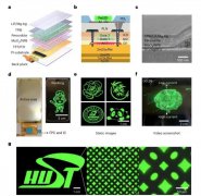 首个TFT驱动的钙钛矿显示屏实现！