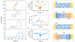 二维材料电致横向PN结及纵向异质结快速转移制备