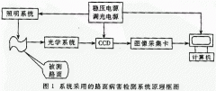 高等级公路路面裂缝类病害轮廊提取的算法研究