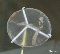 光如何传播，如何利用光的特性