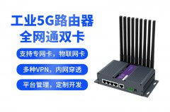 插卡即用的工业路由器都支持哪些卡？