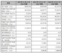 连接器厂商信音电子登录创业板