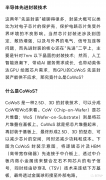 什么是CoWoS？CoWoS的应用发展