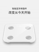 蓝牙体脂秤