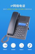 IP网络电话