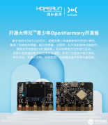 <b>开源大师兄 青少年OpenHarmony开发板硬件特性介绍</b>