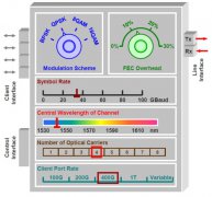 Flex Ethernet光网络传输拓展传输速率的灵活性
