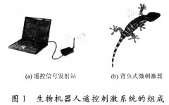 <b>恒流多通道动物机器人遥控刺激系统的研制</b>