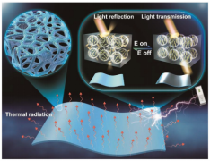 具有超快光学调制的被动辐射冷却智能窗