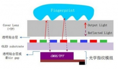 天马微电子发布LCD指纹识别方案，LCD还能否回到