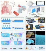 同济大学：研究离子凝胶微针贴片，实现超宽压