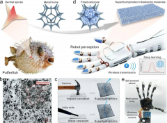 广西大学：仿生超疏水纤维素摩擦电材料用于高