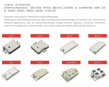 2025 SNEC亮点：比亚迪半导体光储领域产品实力亮