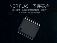 普冉NOR FLASH支持U盾跨境支付高安全密钥管理​