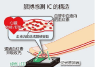 ROHM推出高速脉搏感测IC 可量测压力和血管年龄