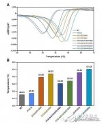 Ideonella sakaiensis菌PET降解能力提升