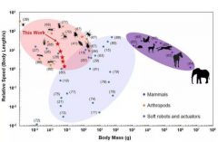 清华大学与加州大学伯克利分校共同开发软体机