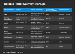 早期初创公司目前正致力于将最后一英里递送机