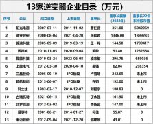 国内光伏逆变器市场现状如何