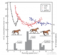 机器人最节省能量的行走方式