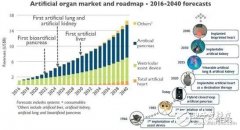 2017版人造器官市场分析
