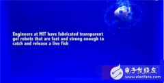 “抓鱼达人”水凝胶机器人：未来能协助医生完