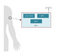 基于智能电池电量计的动态血糖监视仪电池寿命