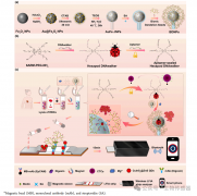基于仿生蒲公英等温放大系统的无线细胞传感器