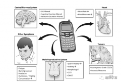 关于电磁辐射知识：为什么信号越弱，手机辐射