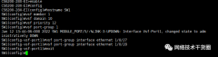 神州数码DC交换机VSF配置命令介绍