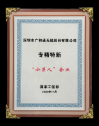 中央批示，工信部颁发专精特新“小巨人”，广