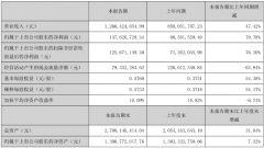 广和通上半年营收增长47.42%，整体收入实现快速
