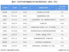 中国专网通信行业龙头企业全方位对比