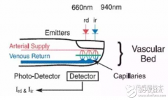 智能手表心率检测的原理及不同方法的优劣